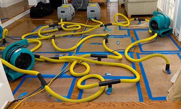 Professional Basement Flood Cleanup technician working in Freeport, MN